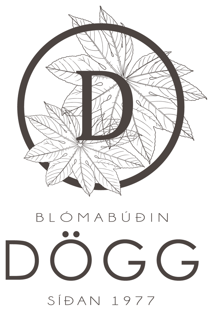 Blómabúðin Dögg